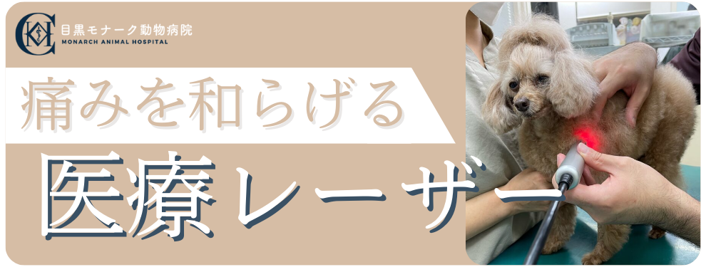 痛みを和らげる 医療レーザー