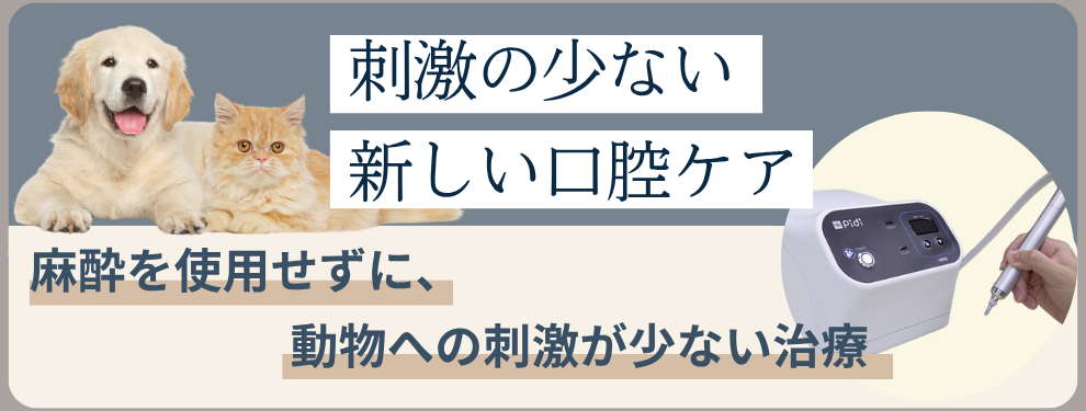 刺激の少ない 新しい口腔