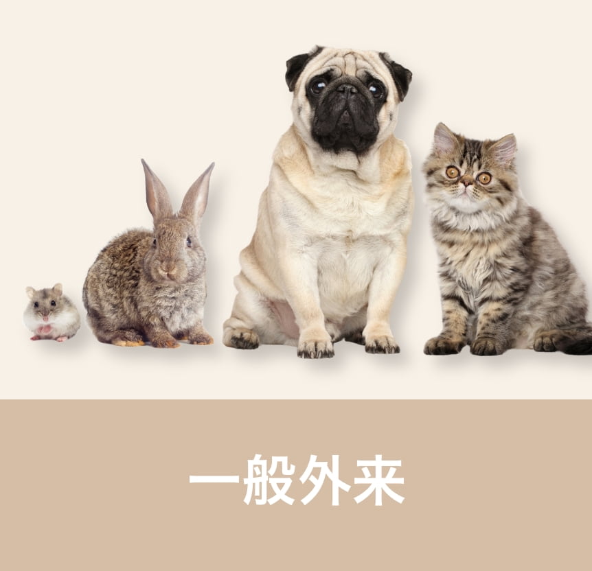 一般外来