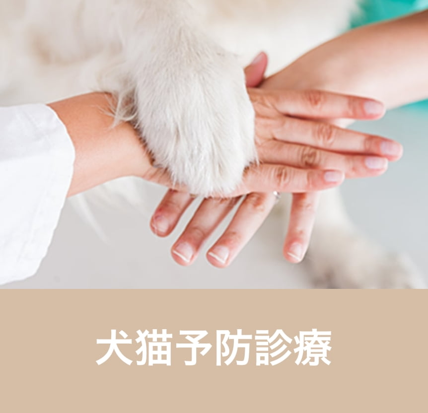 犬猫予防診療