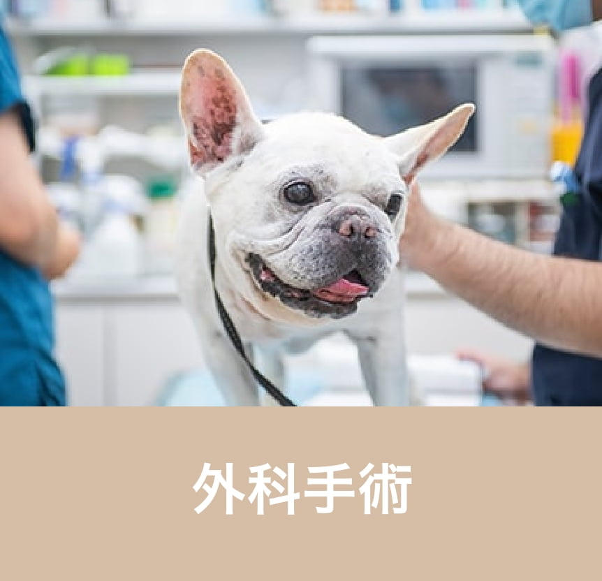 外科手術