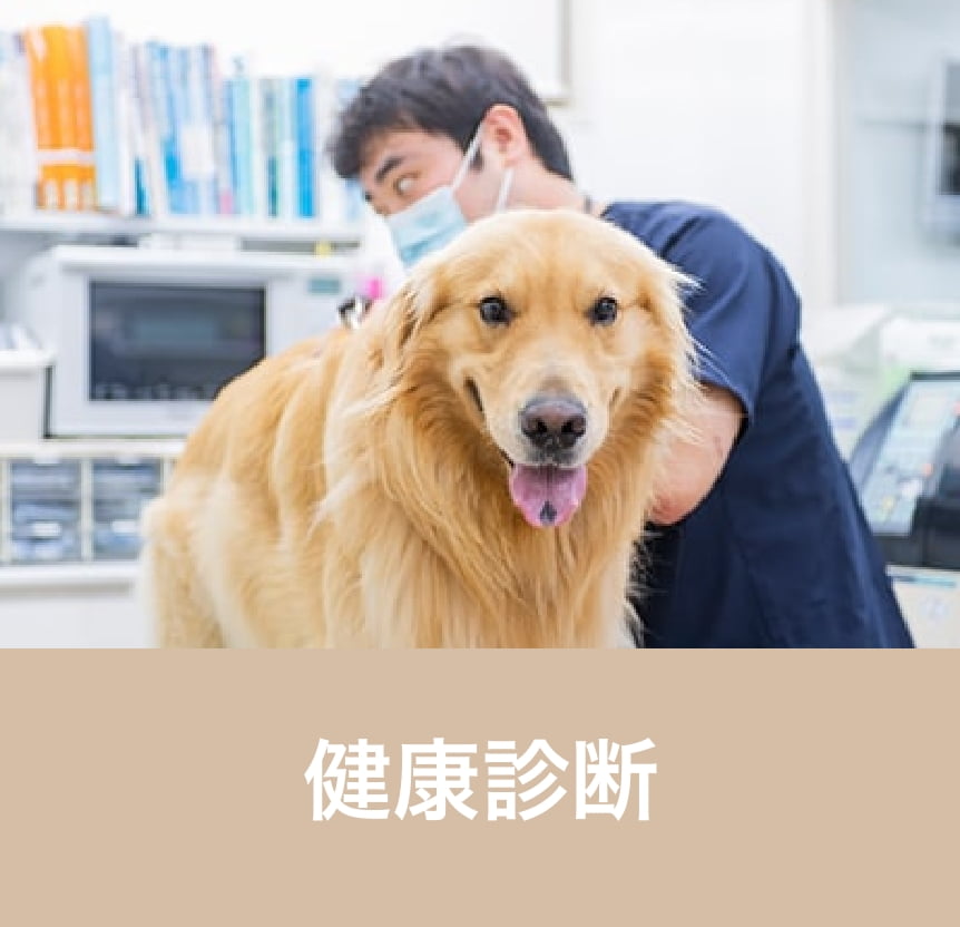 健康診断