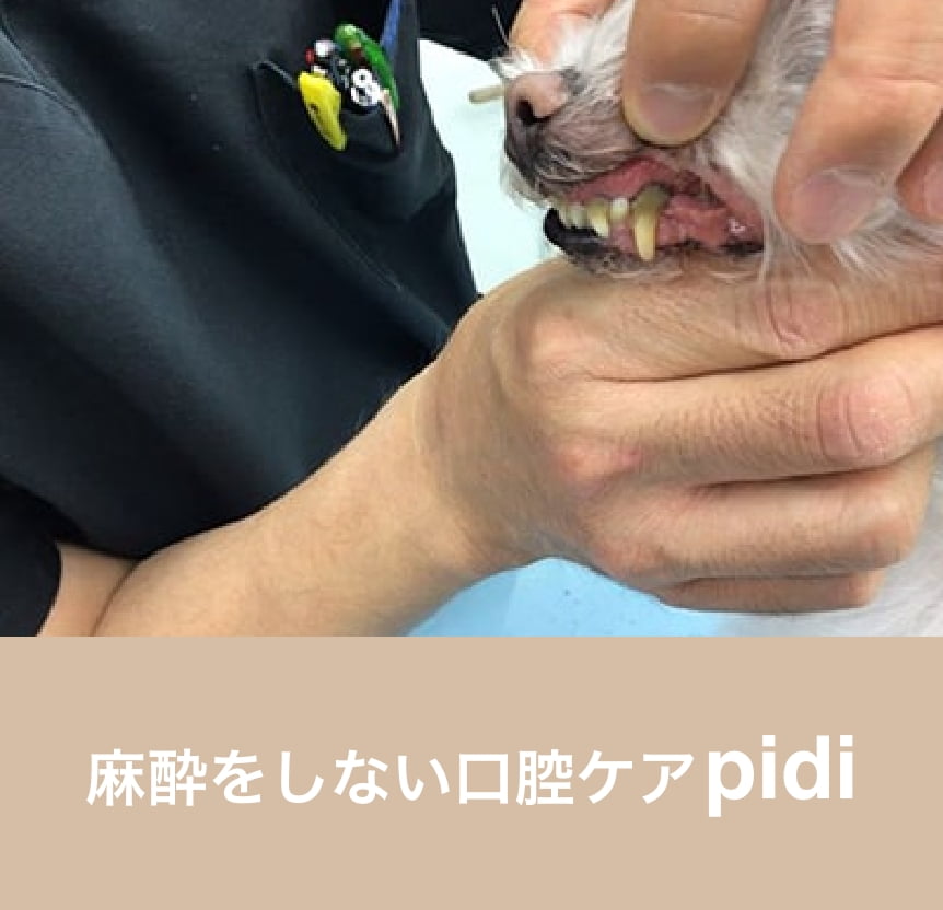麻酔をしない口腔ケアpidi